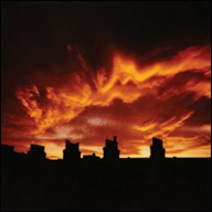 Blue Roses "Does Anyone Love Me Now?"