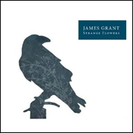 James Grant "Strange Flowers"